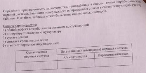 Определите принадлежность характеристик, приведённых в списке, типам периферической нервной системы.