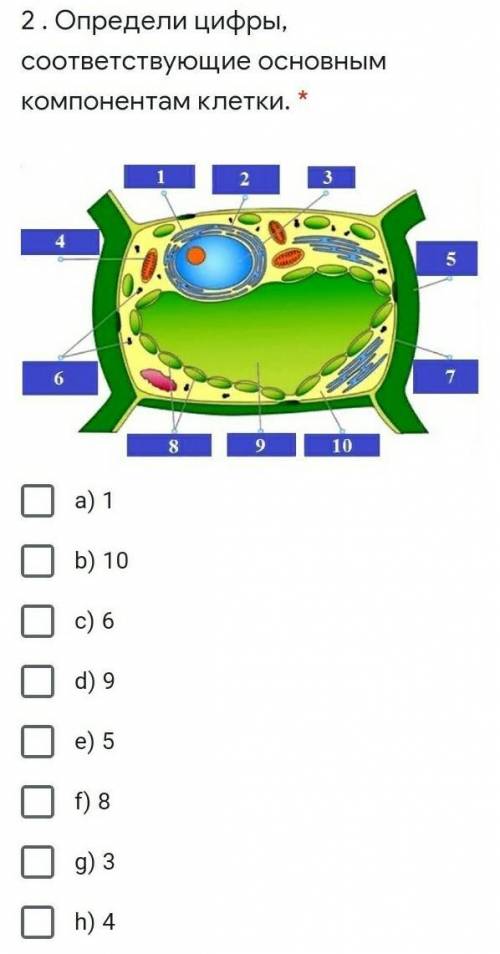 Определи цифры, соответствующие основным компонентам клетки.  МЕНЯ СОР​