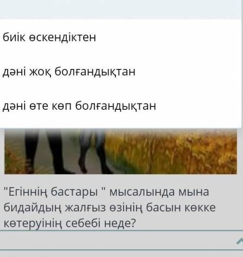 Егіннің бастары мысалында мына бидайдың жалған өзінің басын көтеруіне неде ​