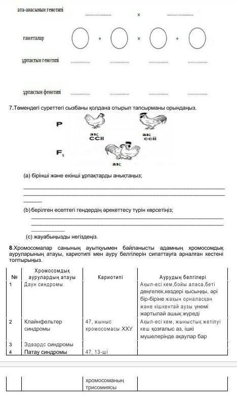 Жиынтык багалау 3 токсан 10 класс​