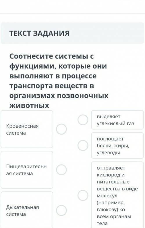 Соотнесите системы с функциями, которые онивыполняют в процессетранспорта веществ Ворганизмах позвон