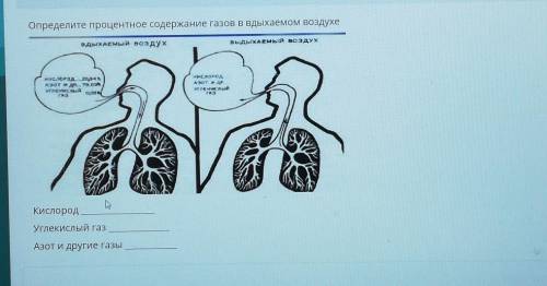 Определите процентное содержание газов В Вдыхаемом воздухе одыХАЕмый воздухaьЫХАЕмые воздухнеоrад ан