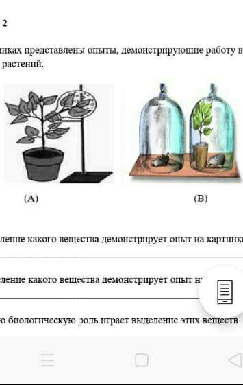 А) Выделение какого вещества демонстрирует на картинке А б) выделение какого вещества демонстрирует