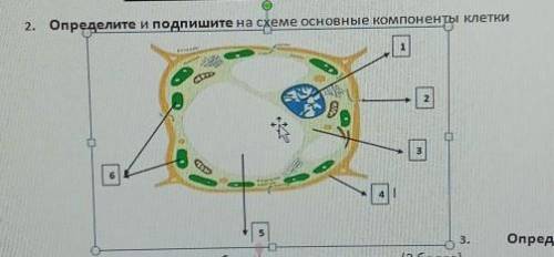 я умоляю я не могу это сделать не понимаю все балы отдам умоляю ни кто не отвечает​