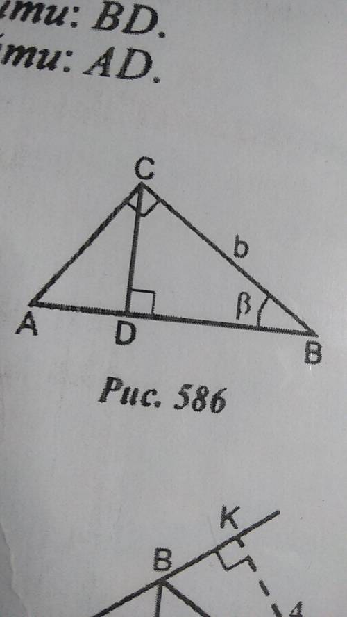 586: найти AD,AC590: найти AD