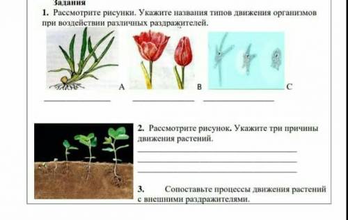 1. Рассмотрите рисунки. Укажите названия типов движения организмов при воздействии различных раздраж