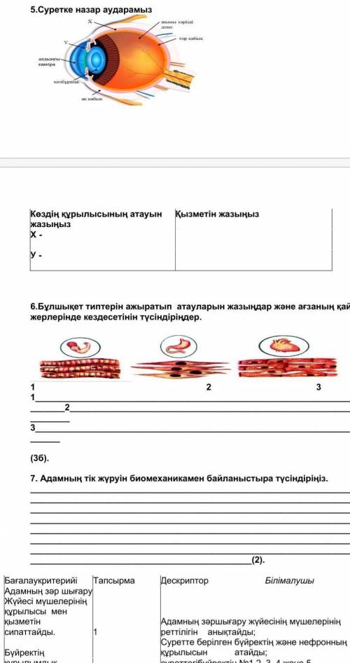 БЖБ БИОЛОГИЯ 8 СЫНЫП КЕРЕК ​