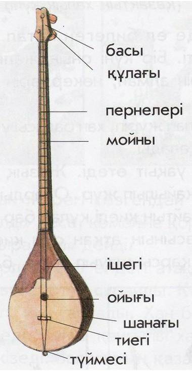 Домбыраны сипаттайтын, кластер(кесте немесе сызба) құрастырыңыз ​