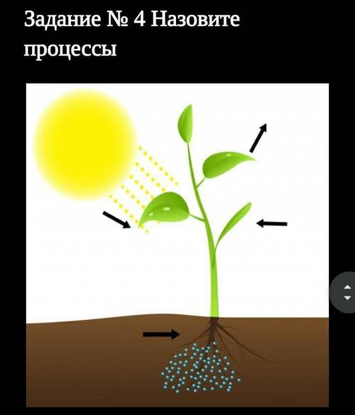 Задание № 4 Назовите процессы ​