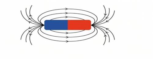 на рисунке силовые линии полосового Магнита изображены на чертеже. правильно определи полюса магнита