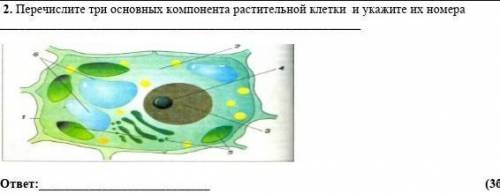 Перечислите три основных компонента растительной клетки  и укажите их номера​