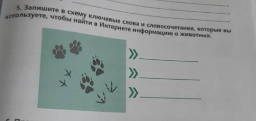 5. Запишите в схему ключевые слова и словосочетания, которые вы используете, чтобы найти в Интернете