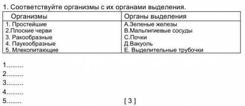 1.     Соответствуйте организмы с их органами выделения. ОрганизмыОрганы выделения 1. Простейшие2.Пл