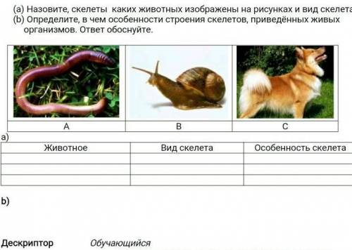 (а) Назовите, скелеты каких животных изображены на рисунках и вид скелета (b) Определите, в чем особ