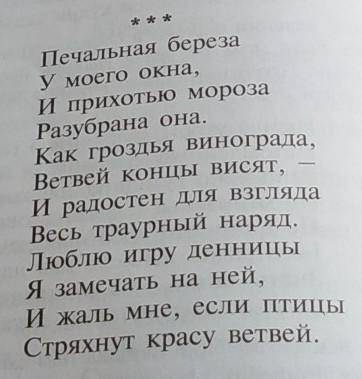 Средства выразительности в стихотворении печальная берёза А А Фет​