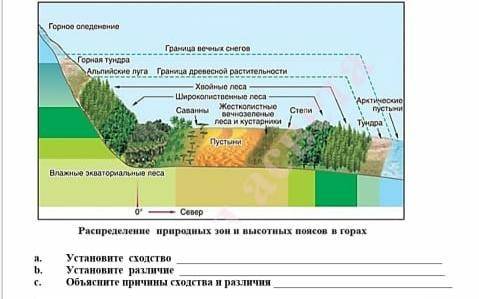 Используйте предложенные рисунки , сравните широтную зональность и высотную поясность