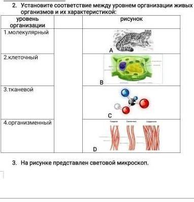 Установите соответствие между уровнем организации живых организмов и их характеристикой: уровень орг