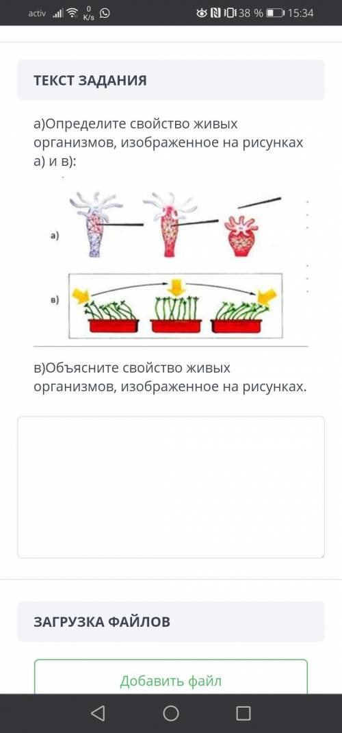 Естествознание а) определите свойство живых организмов, изображённое на рисунках а) и в) в) определи