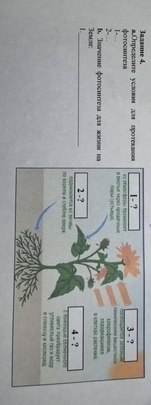 Определите условия для протекания фотосинтеза1-...2-...b. Значение фотосинтеза для жизни наЗемле:1.э