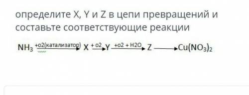 определите Х, Ү и Z в цепи превращений и составьте соответствующие реакции NH. t02(катализатор) х мо