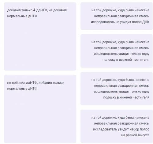 Исследователь проводил секвенирование фрагмента ДНК по Сэнгеру, однако допустил ошибку и добавил в о