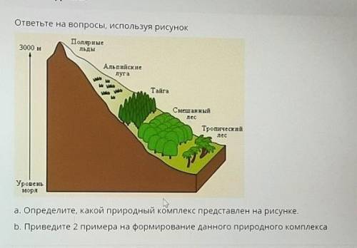 а Определите Какой природный комплекс представлен на рисунке B Приведите два примера на формирование