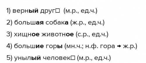 : из литеротурного текста выписать по 5 словосочетаний сущь+прил опредилить тип скланения сущь