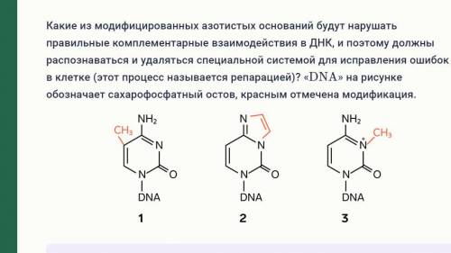 Какие из модифицированных азотистых оснований будут нарушать правильные комплементарные взаимодейств