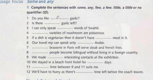 1 Complete the sentences with some, any, few, a few, little, a little or no quantifier (Ø).