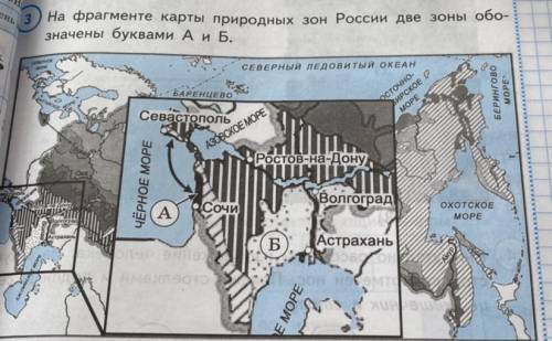 На фрагменте карты природных зон России две зоны обо- значены буквами А и В 3.1. Запиши соответствую