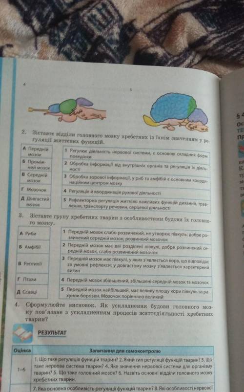 ответить на 2;3,4 тестовые вопросы по биологии сделать​