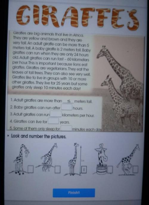 Giraffes are big animals that live in Africa, They are yellow and brown and they arevery tall. An ad