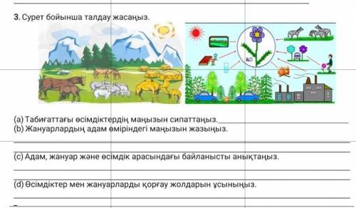 Продолжение сор по географии ​