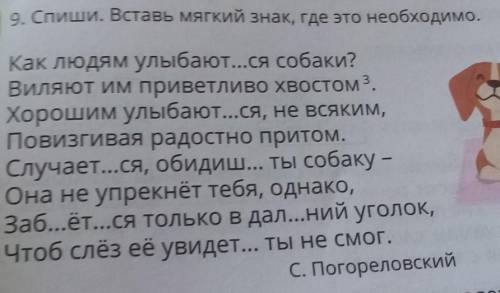 Ся - ул 9. Спиши. Вставь мягкий знак, где это необходимо.Как людям улыбают...ся собаки?Виляют им при