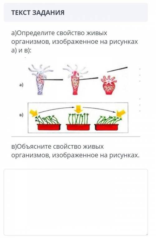 а)Определить свойство живых организмов, показанное на рисунках а) б)Объясните свойство живых организ