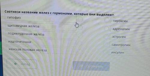 Соотнесите название желез с гормонами которые они выделяют​