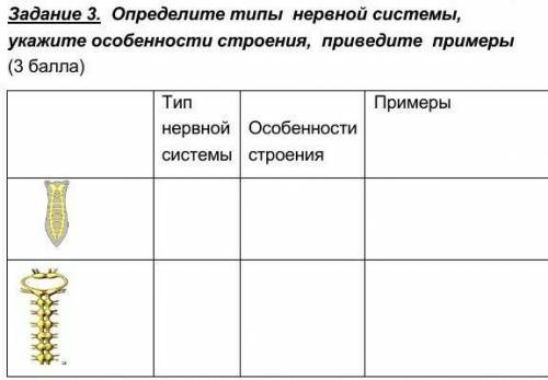 Определите типы  нервной системы, укажите особенности строения,  приведите  примеры ​