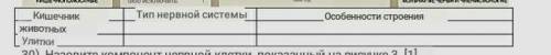 Какие типы нервной системы Кишечнополостных и улиток? В чем особенности их конструкций. заполните та