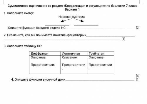 1. Заполните схему: 1.Нервная системаОпишите функции каждого отдела НС12)2 Объясните, как вы понимае