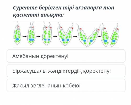 Халява халява халява халява​