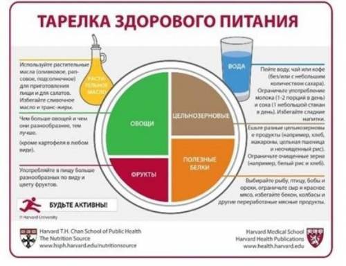 Задание 2. Внимательно прочитайте схему «Тарелка здорового питания». Определите личную и общественну