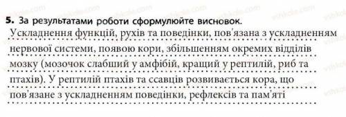 Практична робота N° 6 Порівняня головного мозку хребетних тварин​