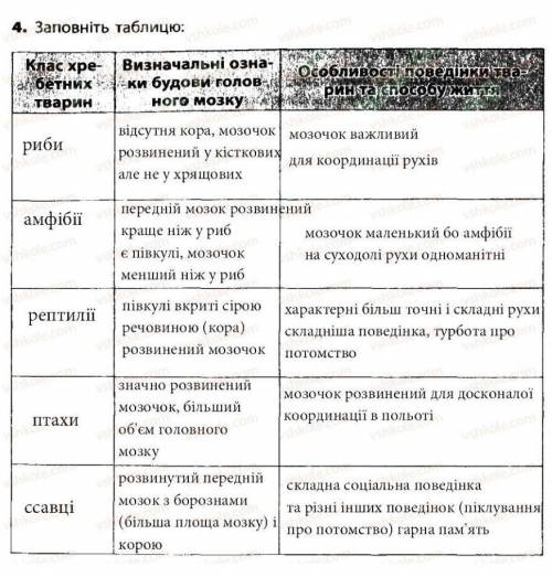 Практична робота N° 6 Порівняня головного мозку хребетних тварин​