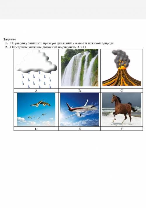 Задание 1. По рисунку запишите примеры движений в живой и неживой природе.2. Определите значение дви