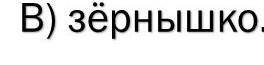 Что бы вы сделали если вы нашли ...о зёрношке сказка о одном зёрнышке​