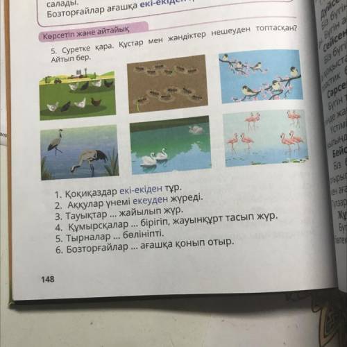 5. Суретке қара. Құстар мен жәндіктер нешеуден топтасқан? Айтып бер. 1. Қоқиқаздар екі-екіден тұр. 2