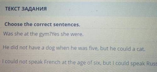 ТЕКСТ ЗАДАНИЯ Choose the correct sentences.Was she at the gym?Yes she were.He did not have a dog whe