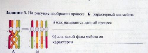 Задание 3. На рисунке изображен процесс в характерный для мейоза. а)как называется данный процессSб)