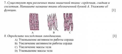 С СОЧЕМ ПО БИОЛОГИИ! 7. Существуют три различных типа мышечной ткани: сердечная, гладкая и скелетная