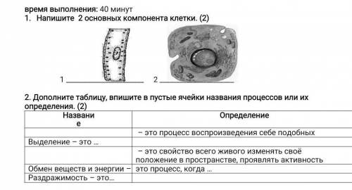 1 напишите 2 основных компонента клетки это естествознание! ​